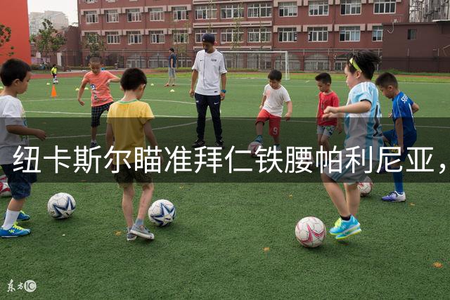 纽卡斯尔瞄准拜仁铁腰帕利尼亚，2500万欧元或成交易关键