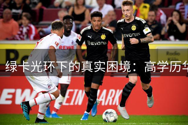 绿卡光环下的真实困境：高学历华人在美生存实录